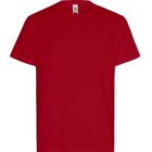 Plain red short-sleeve t-shirt on a white background.