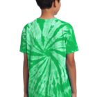 Boy wearing a green tie-dye T-shirt facing away, standing upright.