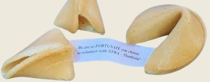 Three fortune cookies, one open with a message visible inside.
