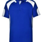 Blue and white polo shirt on a white background.