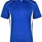 Blue and white polo shirt with short sleeves and buttoned collar.
