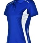 Blue and white sports jersey with short sleeves and a collar.