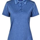 Blue polo shirt with short sleeves and a three-button collar.