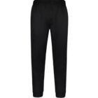 Black sweatpants on a white background.