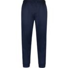 Navy blue sweatpants with an elastic waistband and cuffs, displayed on a white background.