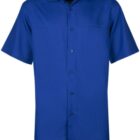 Short-sleeve, button-up royal blue shirt with a collar, displayed on a plain background.