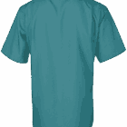 Back view of a teal short-sleeve button-up shirt.