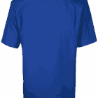 Back view of a blue short-sleeve collared shirt.
