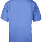 Back view of a plain blue short-sleeve button-up shirt.