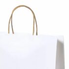 White paper shopping bag with brown twisted handles against a plain background.