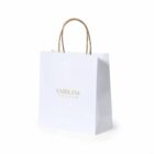 White shopping bag with brown handles and EMBLEM VECTOR printed on the front.