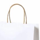 White paper shopping bag with brown twisted handles against a plain white background.