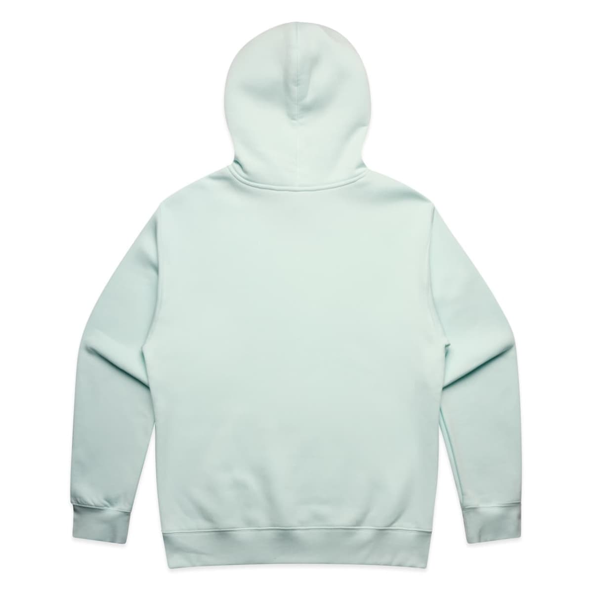 Light blue hooded sweatshirt shown from the back against a white background.