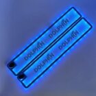 Two blue LED car door sills with the word DOLPHIN illuminated on each.
