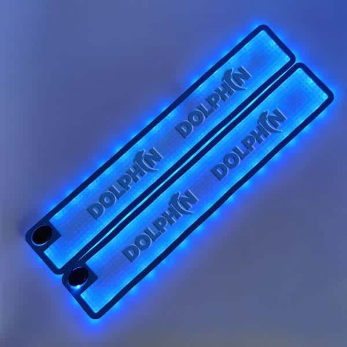 Two blue LED car door sills with the word DOLPHIN illuminated on each.