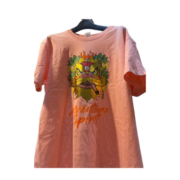 Tee shirt in a hanger