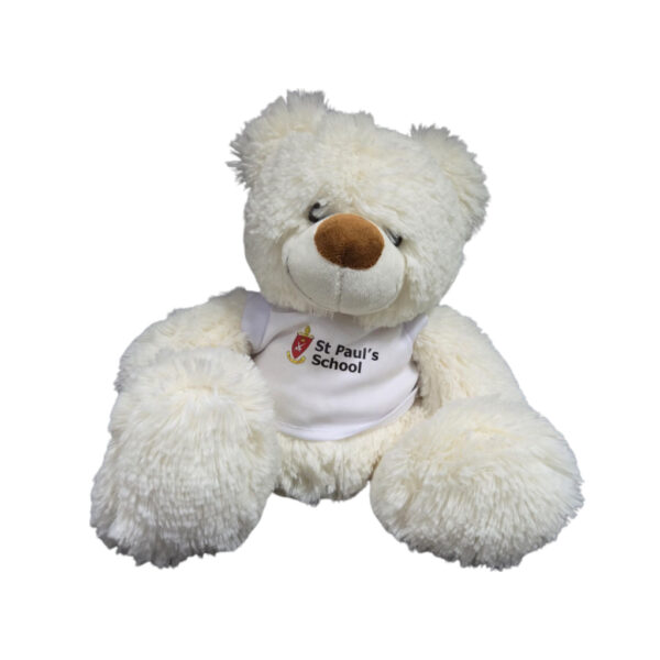white teddy bear with st. paul college's logo