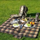 Picnic setup on a plaid blanket with plates, fruit, cups, and a backpack on grass.