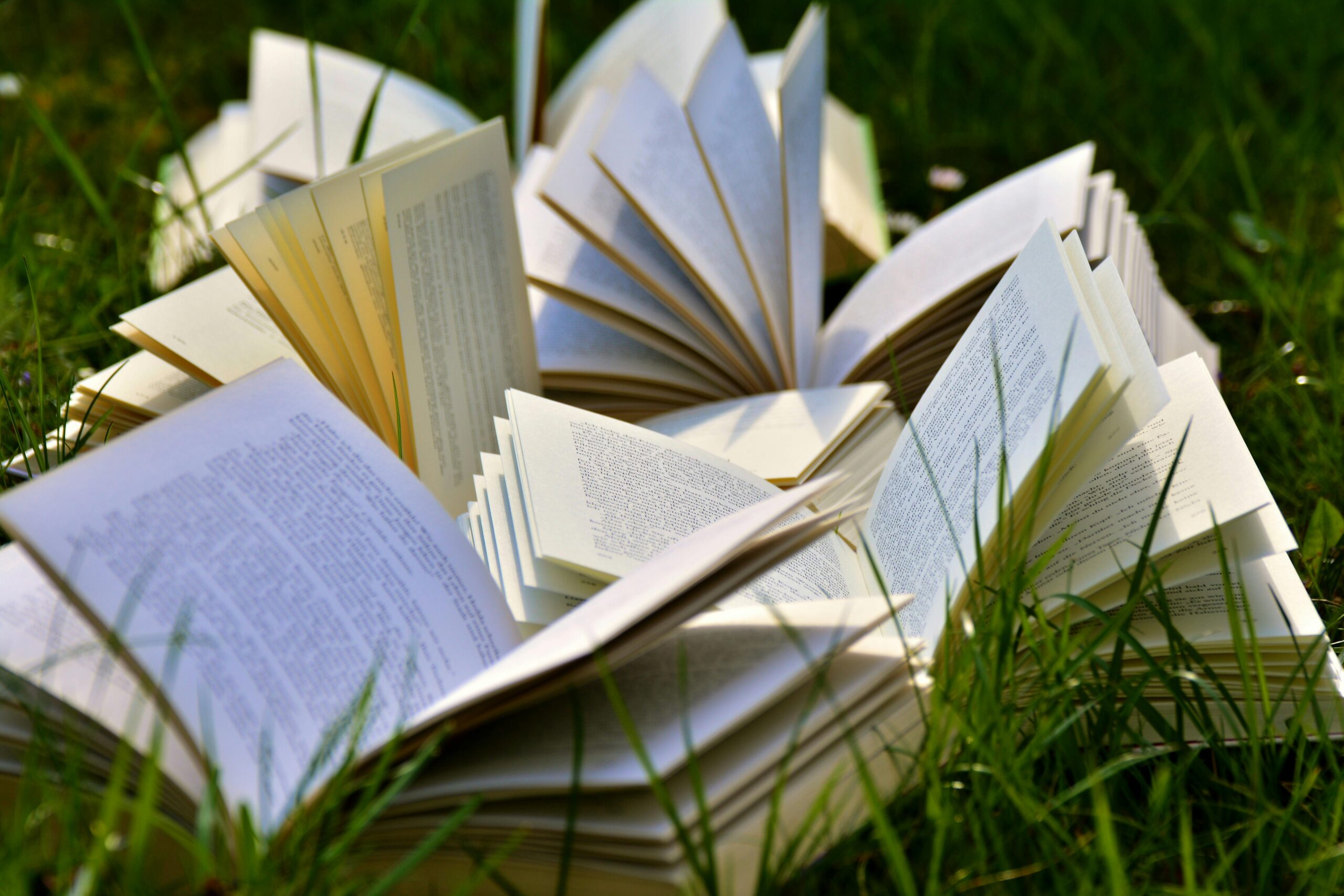 Several open books lay on green grass, symbolizing the pursuit of knowledge and scholarship.