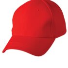 A plain red baseball cap with a curved brim on a white background.