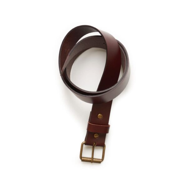 A coiled brown leather belt with a brass buckle on a white background.