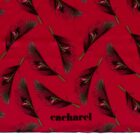 Red fabric with peacock feather print and cacharel logo in black at the bottom.