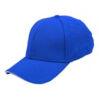 A plain blue baseball cap with a curved brim on a white background.