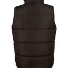Black puffer vest shown from the back, with horizontal stitching and a high collar.