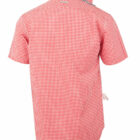 Back view of a red and white checkered short-sleeve button-up shirt.