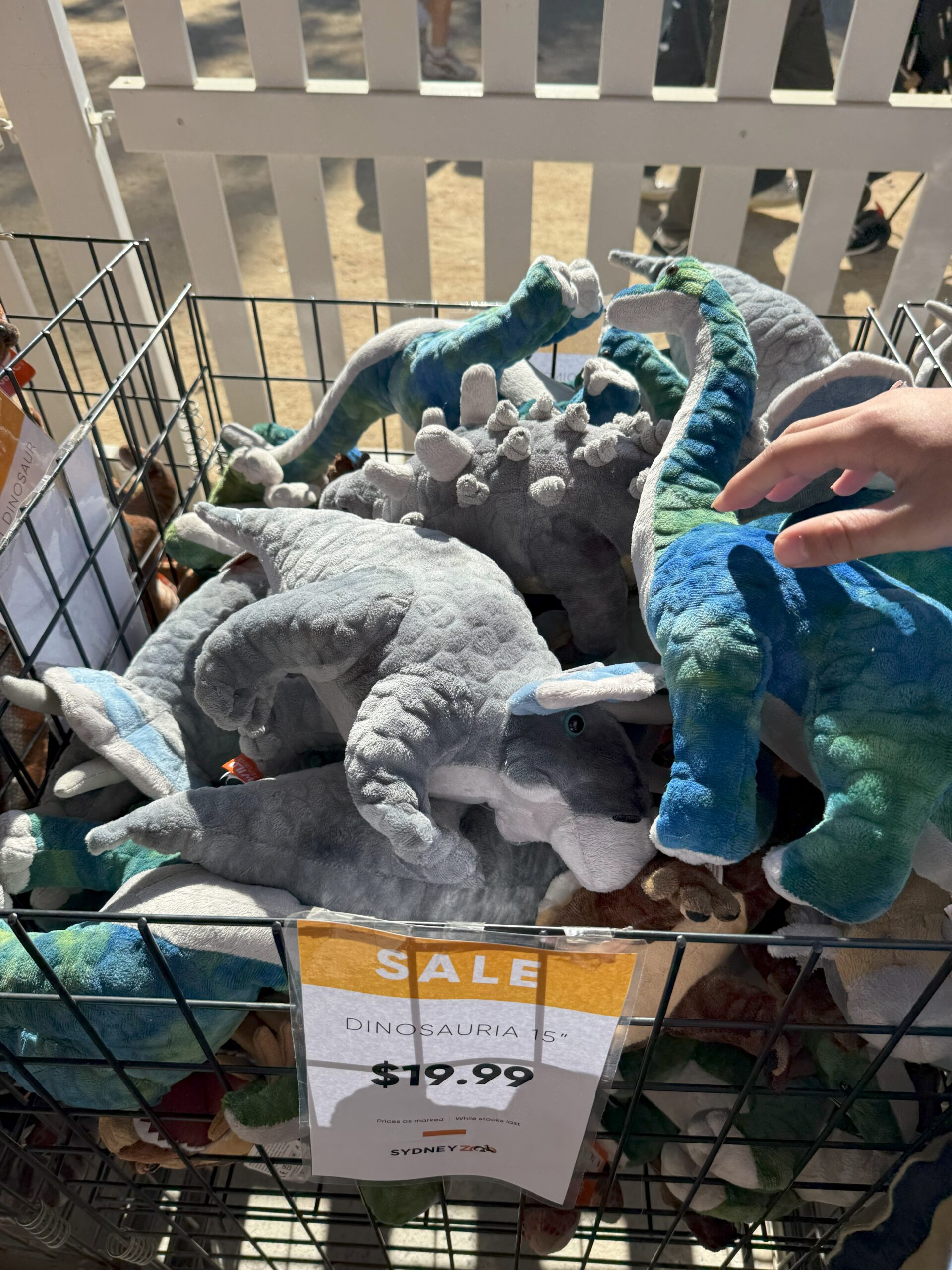 Plush dinosaurs in a wire bin, zoo merchandise for experience, on sale for $19.99.