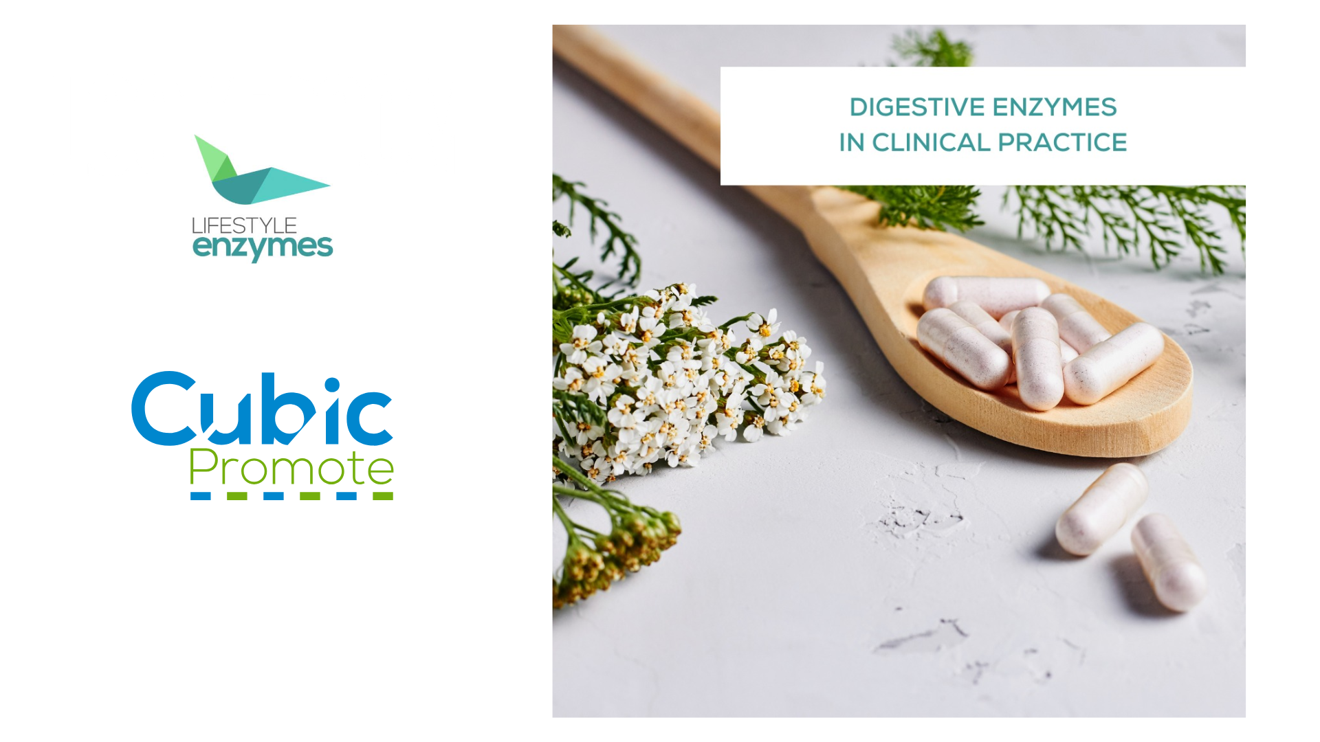 Lifestyle Enzymes Video