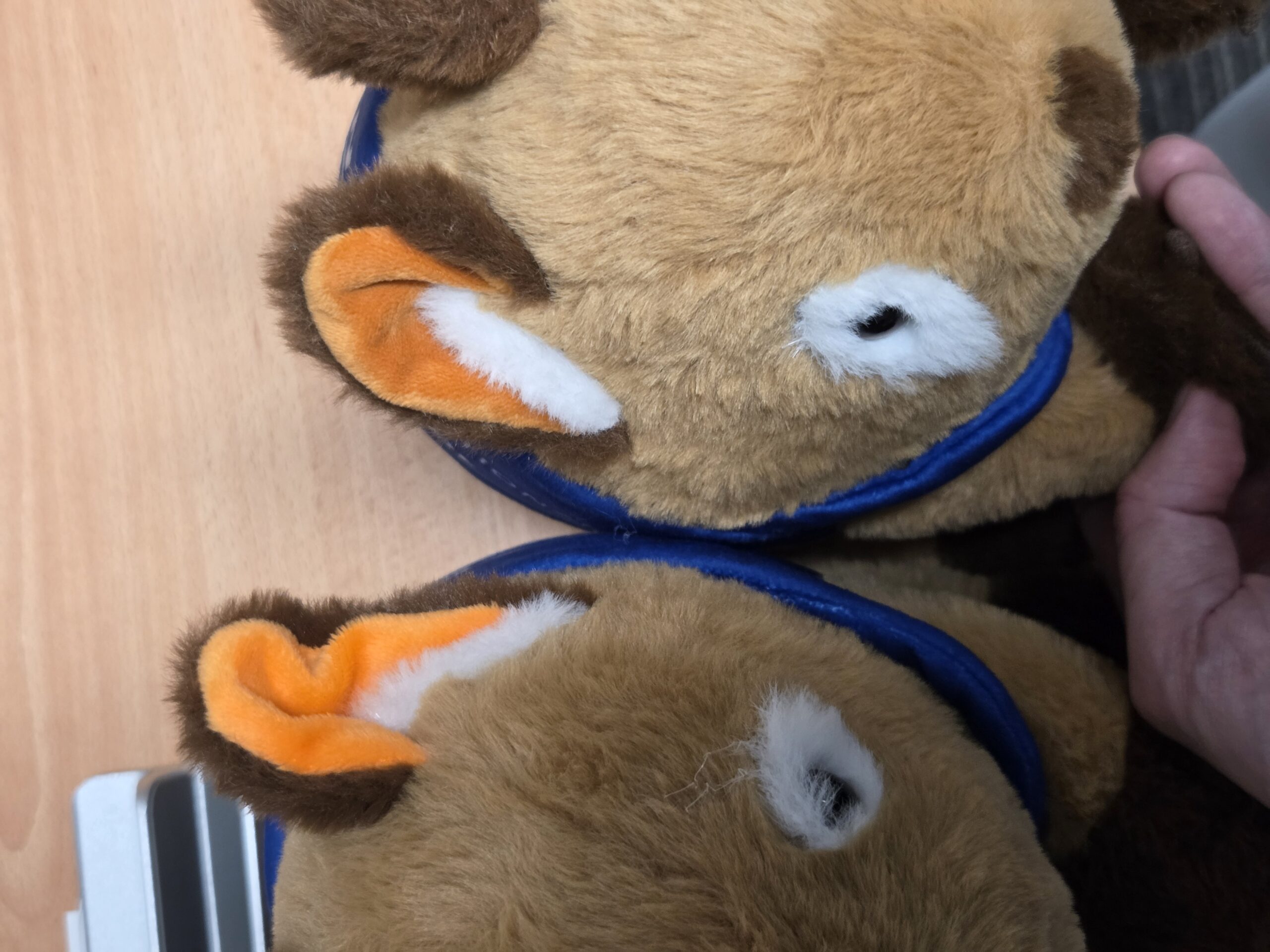 Wombat plushie ear that is slightly in colour