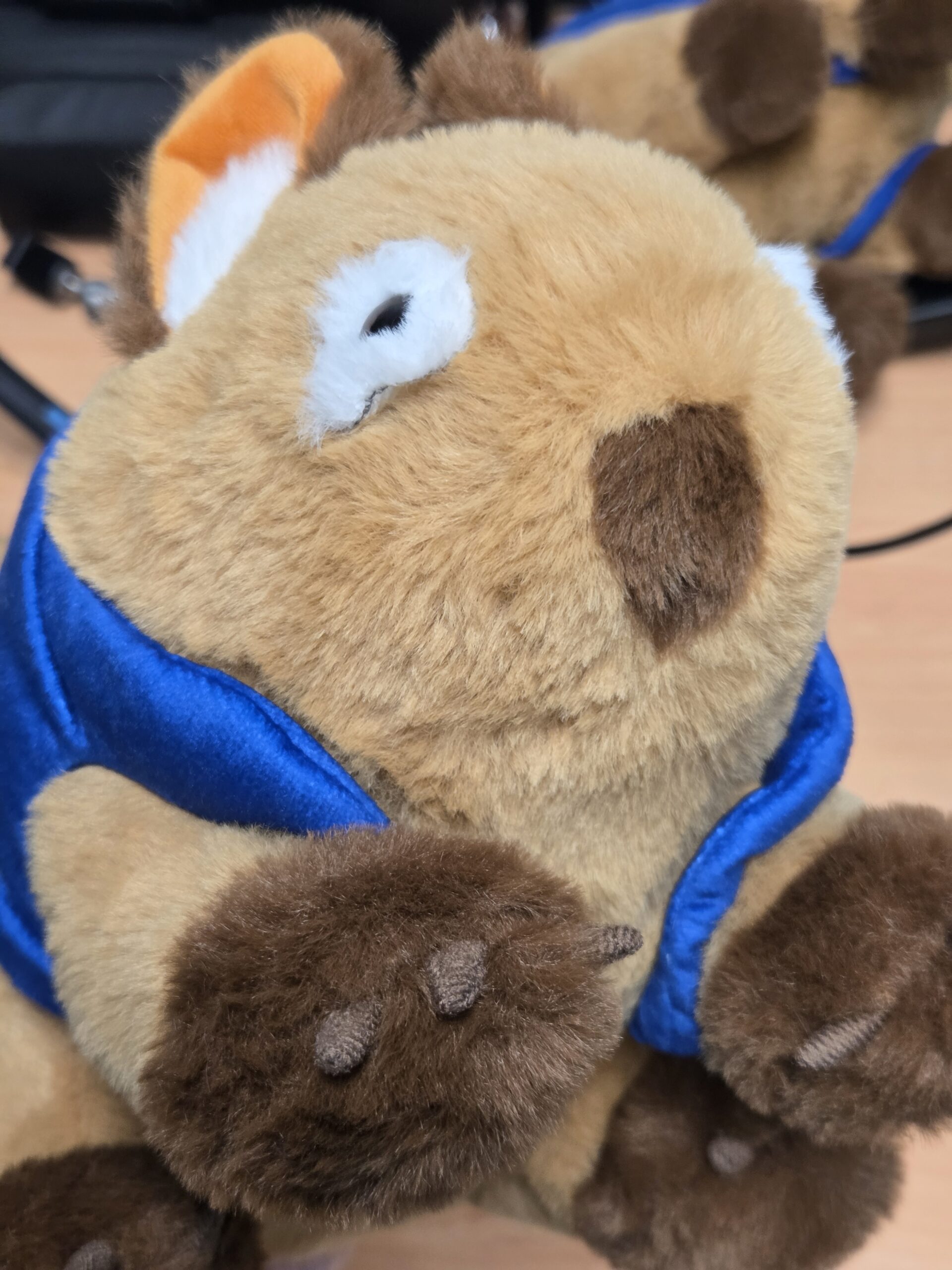 Claws of a custom branded plushie