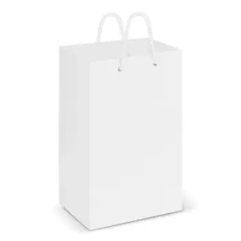 Glossy Finish Paper Bags