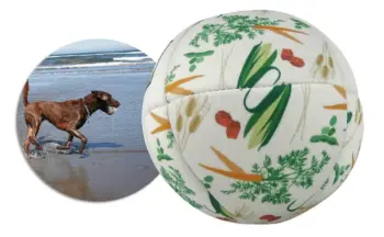 Dog Balls