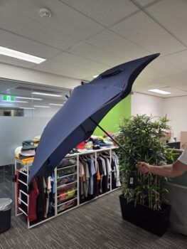 A person holds umbrellas indoors near clothing racks and a potted plant.