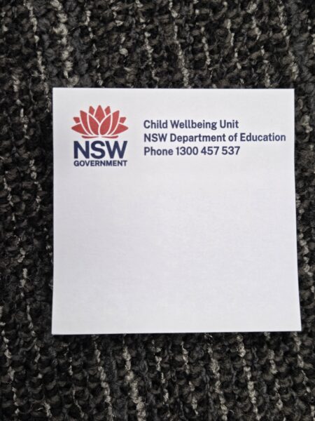 NSW Government – Child Wellbeing Unit