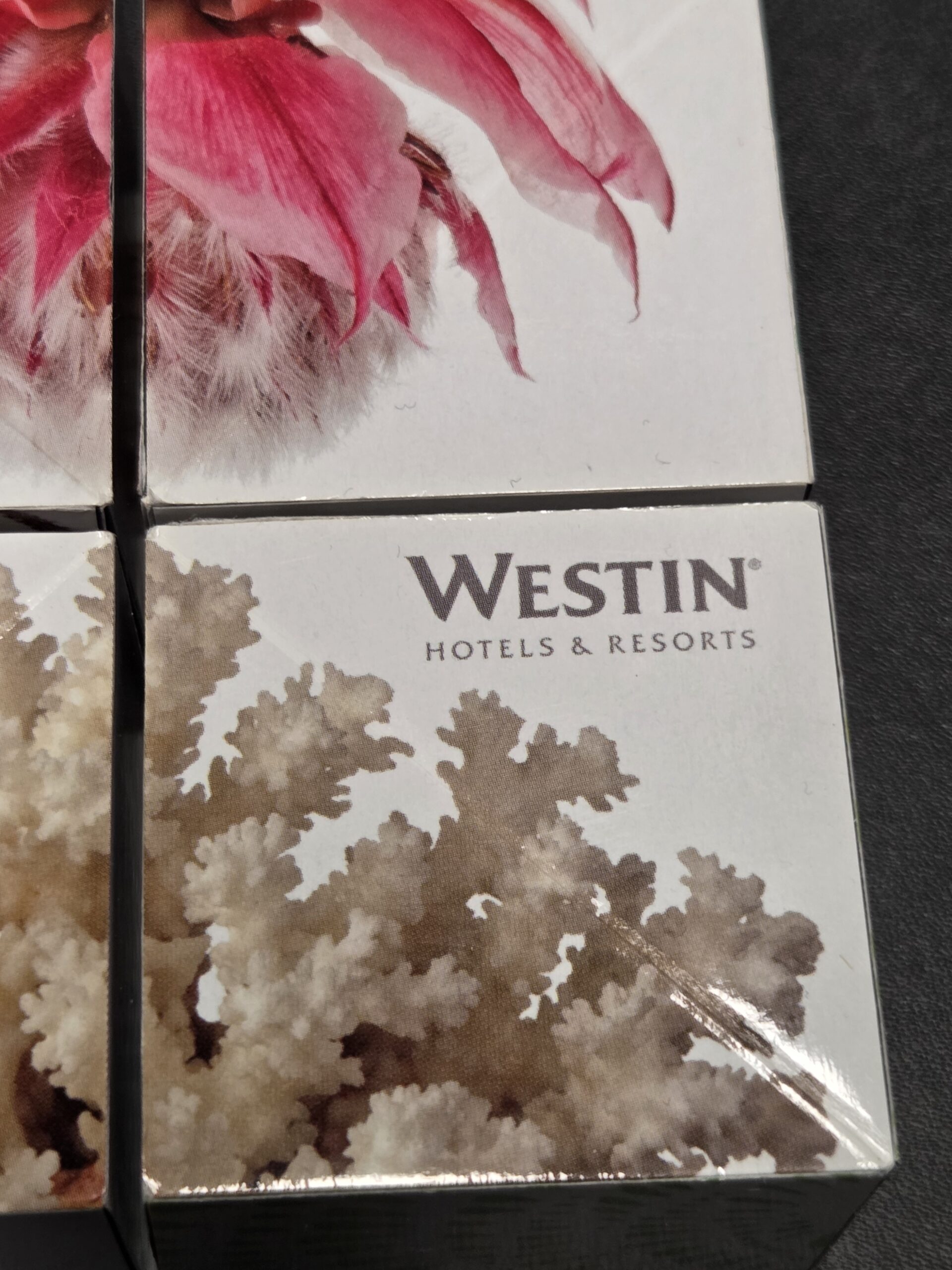 close up view of the logo print