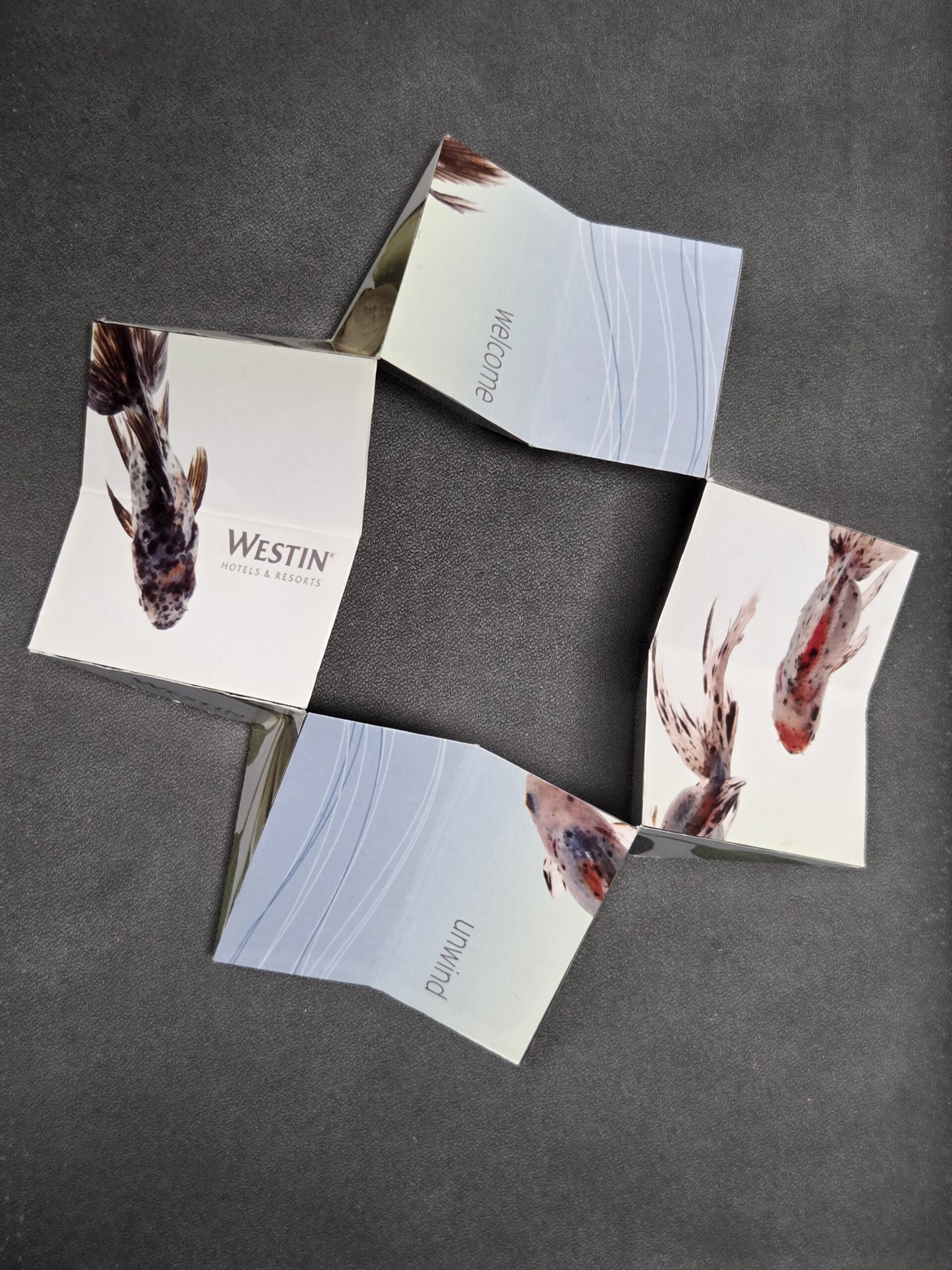 opened up fold out cube for Westin Hotels