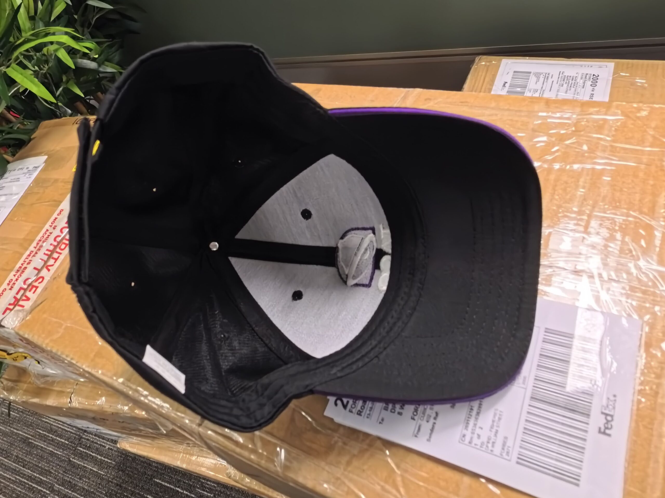 Black Caps upside down on a box with shipping labels, next to a green plant in Australia.