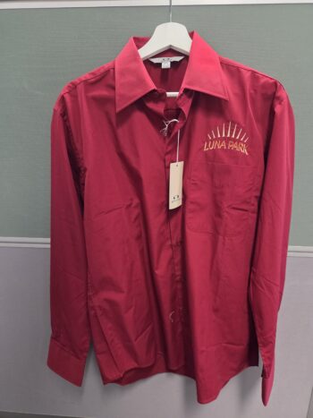 Client Story: Luna Park