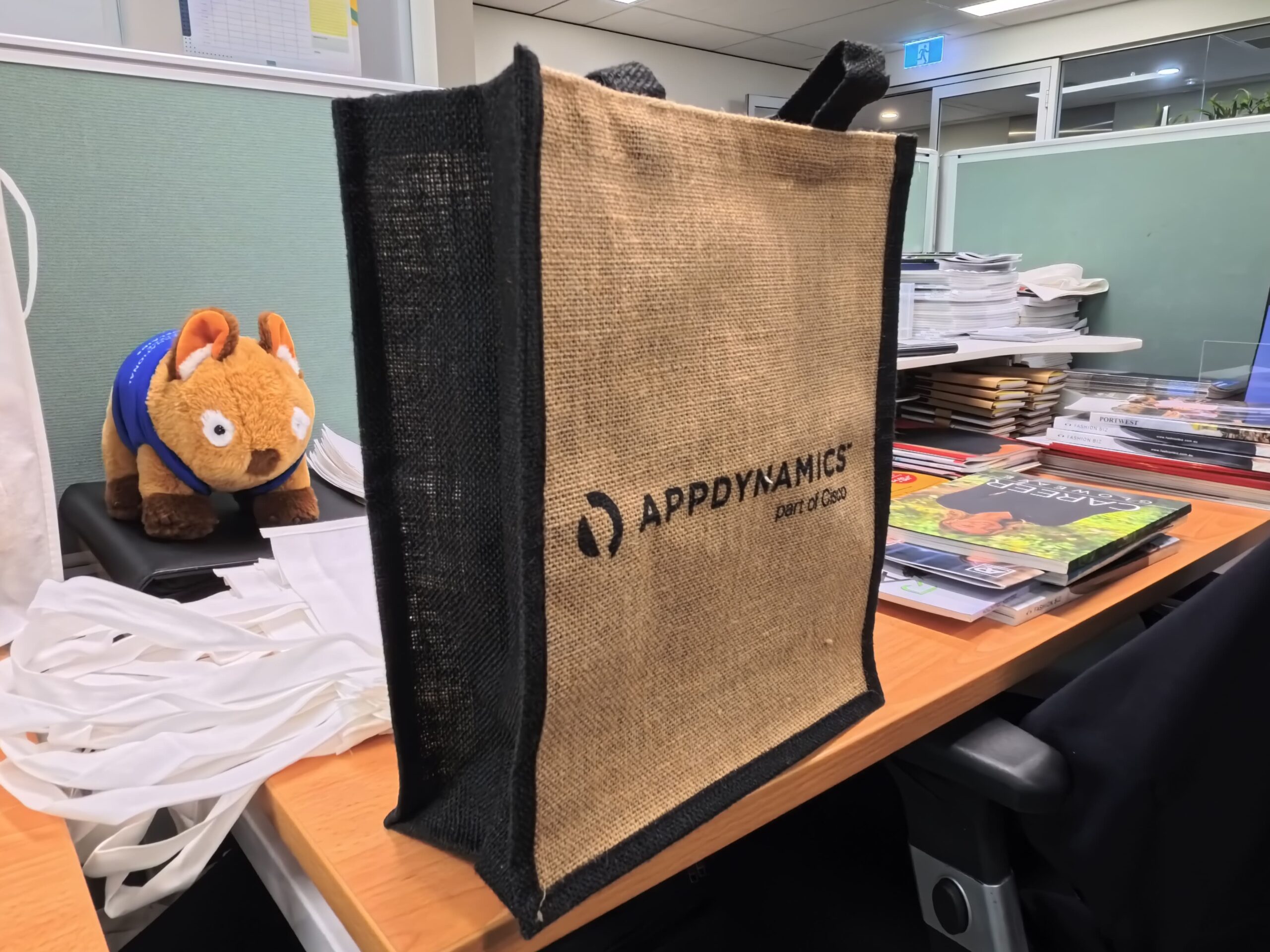 another view of the eco firnedly bag