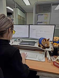 Person at a dual-monitor desk with plush toys and a promotional products supplier catalog nearby.