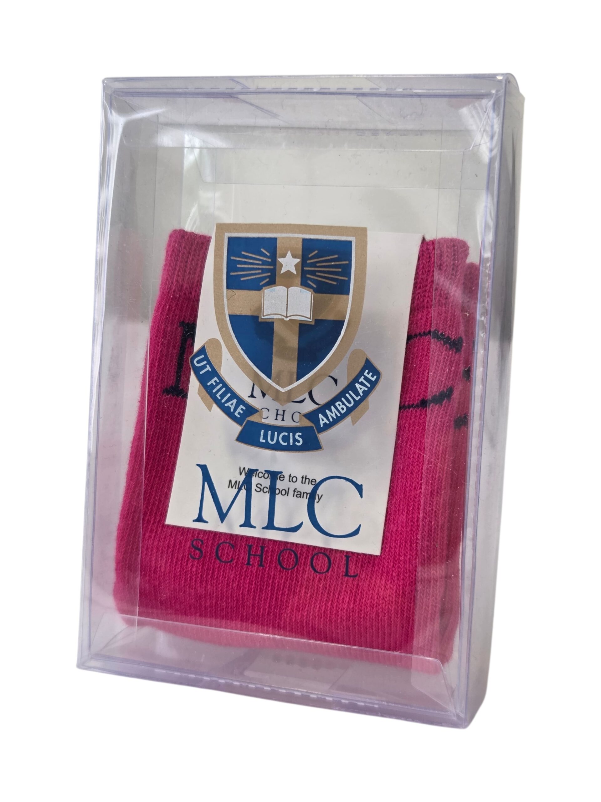 Client Story: MLC School