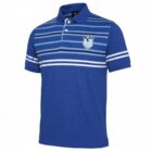 Grade 6 School Leaver Polos: Blue striped polo with owl logo—perfect for school leavers.