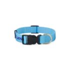 Light blue adjustable dog collar with a black buckle and a metal ring.