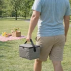 Person holding Micro Sized Cooler Bags by a picnic on a red blanket in the park.
