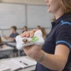 Person holding a Bone Stress Ball with a dog and vetherapy logo in a classroom.