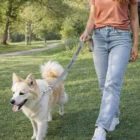 Woman walks her fluffy dog with a Personalised Woven Dog Leash in a sunny, grassy park.