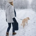 Person in Scarf And Gloves Sets walks dog on snowy path through winter forest, both facing away.